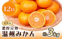 【8・9・12月&nbsp;全3回&nbsp;定期便&nbsp;】紀州和歌山産旬のフルーツセット（種なし巨峰・シャインマスカット・みかん）【UT122】