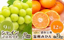【2・8・9・12月&nbsp;全4回&nbsp;定期便&nbsp;】紀州和歌山産旬のフルーツセット（不知火・種なし巨峰・シャインマスカット・みかん）【UT123】