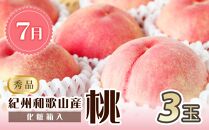 【7・8・9月&nbsp;全3回&nbsp;定期便&nbsp;】紀州和歌山産旬のフルーツセット（桃・種なし巨峰・シャインマスカット）【UT124】