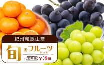 【8・9・12月 全3回 定期便 】紀州和歌山産旬のフルーツセット（種なし巨峰・シャインマスカット・みかん）【UT122】