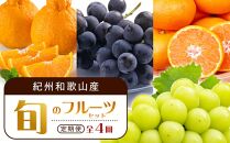 【2・8・9・12月 全4回 定期便 】紀州和歌山産旬のフルーツセット（不知火・種なし巨峰・シャインマスカット・みかん）【UT123】