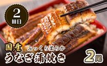 【定期便 全3回】紀州和歌山うまいもんセットA（生まぐろ・うなぎ蒲焼・熊野牛）【UT125】