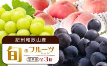 【7・8・9月 全3回 定期便 】紀州和歌山産旬のフルーツセット（桃・種なし巨峰・シャインマスカット）【UT124】