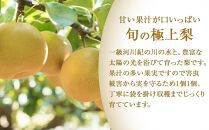 先行予約 旬の梨 極上 秀品（中玉～大玉）6～8個入り 【2025年8月末頃～9月中旬頃発送】【KG23】