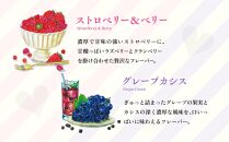 【THE RAMUNE LOVERS】生ラムネ　アソートボックス大　ザ・ラムネラバーズ