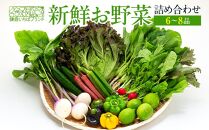 「鎌倉いちばブランド」新鮮お野菜詰め合わせセット  6～8品