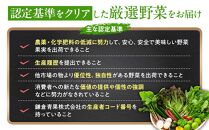 「鎌倉いちばブランド」新鮮お野菜詰め合わせセット  6～8品