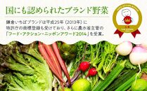 「鎌倉いちばブランド」新鮮お野菜詰め合わせセット  6～8品