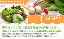 「鎌倉いちばブランド」新鮮お野菜詰め合わせセット  6～8品