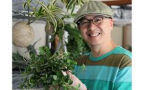 360度楽しめる！吊るせる観葉植物「ハングボール」ペペロミア(Mサイズ)