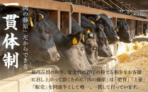 【定期便全2回】阿波牛&nbsp;霜降り焼肉&nbsp;700g