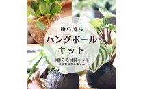 360度楽しめる！吊るせる観葉植物「ゆらゆらハングボールキット」