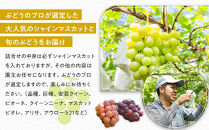 【2026年発送】シャインマスカット＋お任せぶどう&nbsp;約1.5kg（2～3房）