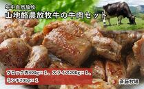 【南国斉藤牧場】山地酪農放牧牛の牛肉3種セット（計800ｇ）