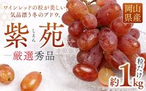 ぶどう&nbsp;2026年&nbsp;&nbsp;紫苑&nbsp;しえん厳選&nbsp;秀品&nbsp;粒だけ&nbsp;約1kg&nbsp;&nbsp;家庭用&nbsp;ギフト&nbsp;農林大臣賞2回受賞&nbsp;&nbsp;贈答用&nbsp;贈り物&nbsp;岡山&nbsp;果物&nbsp;フルーツ&nbsp;&nbsp;採りたて発送&nbsp;農家直送&nbsp;数量限定&nbsp;新鮮&nbsp;10月上旬から発送