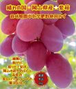 ぶどう 2025年 先行予約 紫苑 厳選 秀品 粒だけ 約2kg 岡山 国産 果物 フルーツ  2025年10月上旬から発送