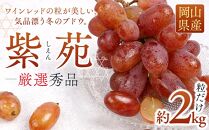 ぶどう&nbsp;2026年&nbsp;&nbsp;紫苑&nbsp;しえん厳選&nbsp;秀品&nbsp;粒だけ&nbsp;約2kg&nbsp;家庭用&nbsp;ギフト&nbsp;農林大臣賞2回受賞&nbsp;&nbsp;贈答用&nbsp;贈り物&nbsp;岡山&nbsp;果物&nbsp;フルーツ&nbsp;&nbsp;採りたて発送&nbsp;農家直送&nbsp;数量限定&nbsp;新鮮&nbsp;10月上旬から発送