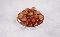 ぶどう&nbsp;2026年&nbsp;&nbsp;紫苑&nbsp;しえん厳選&nbsp;秀品&nbsp;粒だけ&nbsp;約2kg&nbsp;家庭用&nbsp;ギフト&nbsp;農林大臣賞2回受賞&nbsp;&nbsp;贈答用&nbsp;贈り物&nbsp;岡山&nbsp;果物&nbsp;フルーツ&nbsp;&nbsp;採りたて発送&nbsp;農家直送&nbsp;数量限定&nbsp;新鮮&nbsp;10月上旬から発送