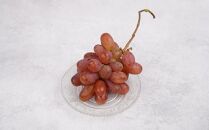 ぶどう&nbsp;2026年&nbsp;&nbsp;紫苑&nbsp;しえん厳選&nbsp;秀品&nbsp;粒だけ&nbsp;約2kg&nbsp;家庭用&nbsp;ギフト&nbsp;農林大臣賞2回受賞&nbsp;&nbsp;贈答用&nbsp;贈り物&nbsp;岡山&nbsp;果物&nbsp;フルーツ&nbsp;&nbsp;採りたて発送&nbsp;農家直送&nbsp;数量限定&nbsp;新鮮&nbsp;10月上旬から発送