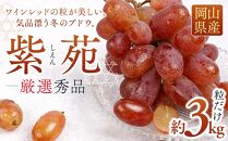 ぶどう&nbsp;2026年&nbsp;&nbsp;紫苑&nbsp;しえん厳選&nbsp;秀品&nbsp;粒だけ&nbsp;約3kg&nbsp;&nbsp;家庭用&nbsp;ギフト&nbsp;農林大臣賞2回受賞&nbsp;&nbsp;贈答用&nbsp;贈り物&nbsp;岡山&nbsp;果物&nbsp;フルーツ&nbsp;&nbsp;採りたて発送&nbsp;農家直送&nbsp;数量限定&nbsp;新鮮&nbsp;10月上旬から発送