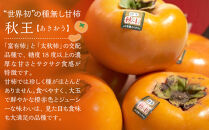 福岡産「秋王」約3kg(8-12玉)【筑前町】【かき&nbsp;柿&nbsp;カキ&nbsp;秋王&nbsp;福岡県産&nbsp;ブランド&nbsp;フルーツ&nbsp;果物&nbsp;くだもの&nbsp;人気&nbsp;おすすめ&nbsp;ギフト&nbsp;贈答&nbsp;福岡県&nbsp;筑前町&nbsp;DX014】