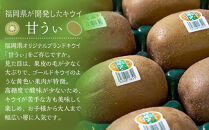 福岡産「甘うぃ」約1.5kg(12-15玉)【筑前町】【きうい&nbsp;キウイ&nbsp;キウイフルーツ&nbsp;甘うぃ&nbsp;福岡県産&nbsp;ブランド&nbsp;フルーツ&nbsp;果物&nbsp;くだもの&nbsp;人気&nbsp;おすすめ&nbsp;ギフト&nbsp;贈答&nbsp;福岡県&nbsp;筑前町&nbsp;DX015】