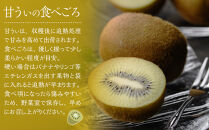 福岡産「甘うぃ」約1.5kg(12-15玉)【筑前町】【きうい&nbsp;キウイ&nbsp;キウイフルーツ&nbsp;甘うぃ&nbsp;福岡県産&nbsp;ブランド&nbsp;フルーツ&nbsp;果物&nbsp;くだもの&nbsp;人気&nbsp;おすすめ&nbsp;ギフト&nbsp;贈答&nbsp;福岡県&nbsp;筑前町&nbsp;DX015】