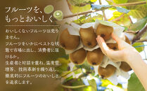 福岡産「甘うぃ」約3kg(24-33玉)【筑前町】【きうい&nbsp;キウイ&nbsp;キウイフルーツ&nbsp;甘うぃ&nbsp;福岡県産&nbsp;ブランド&nbsp;フルーツ&nbsp;果物&nbsp;くだもの&nbsp;人気&nbsp;おすすめ&nbsp;ギフト&nbsp;贈答&nbsp;福岡県&nbsp;筑前町&nbsp;DX016】