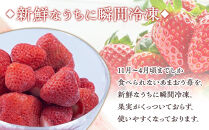 【先行予約&nbsp;2026年4月以降発送】福岡産冷凍あまおう500g×2袋【筑前町】