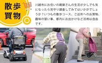 ご家族の散歩・買物・運転の見守り調査チケット（１時間分）