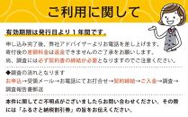 ご家族の散歩・買物・運転の見守り調査チケット（１時間分）