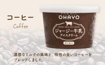 【お歳暮】オハヨー乳業 ジャージー牛乳アイスクリーム 120ml×10個（ミルク・コーヒー）ギフト