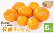産地直送 有田みかん サイズ 不揃い 約5kg 喜楽farms 【2025年11月以降順次発送】