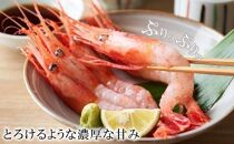 【数量限定】金沢港産冷凍甘えび  あまえび 甘えび 海老 魚介類 水産 石川 金沢 加賀百万石 加賀 百万石 北陸 北陸復興 北陸支援