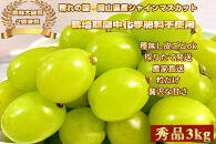 ぶどう&nbsp;2026年&nbsp;&nbsp;シャインマスカット&nbsp;秀品&nbsp;粒だけ&nbsp;約3kg&nbsp;&nbsp;家庭用&nbsp;&nbsp;農林大臣賞2回受賞&nbsp;&nbsp;&nbsp;岡山&nbsp;果物&nbsp;フルーツ&nbsp;&nbsp;採りたて発送&nbsp;農家直送&nbsp;数量限定&nbsp;新鮮&nbsp;2026年6月下旬から発送