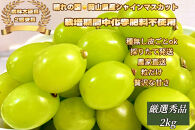 ぶどう&nbsp;2026年&nbsp;&nbsp;シャインマスカット&nbsp;厳選&nbsp;秀品&nbsp;粒だけ&nbsp;約2kg&nbsp;&nbsp;家庭用&nbsp;&nbsp;農林大臣賞2回受賞&nbsp;&nbsp;岡山&nbsp;果物&nbsp;フルーツ&nbsp;&nbsp;採りたて発送&nbsp;農家直送&nbsp;数量限定&nbsp;新鮮&nbsp;7月上旬から発送