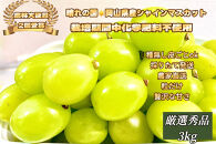 ぶどう&nbsp;2026年&nbsp;&nbsp;シャインマスカット&nbsp;厳選&nbsp;秀品&nbsp;粒だけ&nbsp;約3kg&nbsp;&nbsp;家庭用&nbsp;農林大臣賞2回受賞&nbsp;&nbsp;岡山&nbsp;果物&nbsp;フルーツ&nbsp;&nbsp;採りたて発送&nbsp;農家直送&nbsp;数量限定&nbsp;新鮮&nbsp;7月上旬から発送