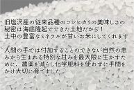 【新米】令和６年産　南魚沼塩沢産コシヒカリ　特別栽培米　白米５kg