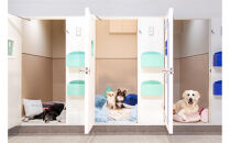 【WANCOTT】ドッグホテル利用券　10,000円分