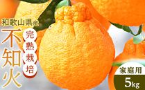 不知火（完熟栽培）15玉～28玉 約5kg 家庭用【和歌山 海南市 農園直送】