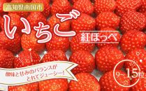 南国市産いちご １パック（9～15粒）