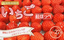 南国市産いちご ２パック（18～27粒）