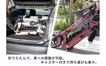 【原付一種】折りたたみ可能な電動キックボード！EV SCOOTER（EVスクーター） ブラック 