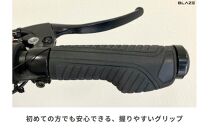 【免許不要】折りたたみ可能な電動キックボード！特定小型原付　KICKBOARD EV Lite（キックボードEVライトモデル） ブラック