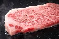 【定期便全12回】博多和牛【A4～A5】（ヒレ150g＆サーロイン250g）　各1枚　計400g