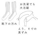 高田耕造商店 しゅろのやさしいたわし ささら 大 紐付き