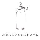 高田耕造商店 しゅろのやさしいたわし ストロー用