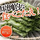 満足する鉄板焼きしそ巻き 1kg