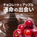 アップルチョコレートミルク900g