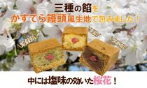 【お歳暮のし付】兎月園　和菓子　三島ざくら６個　桜　さくら　らくじゅの実９個　焼き菓子　饅頭　カステラ　桜　ギフト　スイーツ　静岡　三島市　お礼　ご挨拶　お歳暮